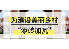 給你一個(gè)億！為村民建設(shè)一條美麗鄉(xiāng)村，你將如何設(shè)計(jì)？